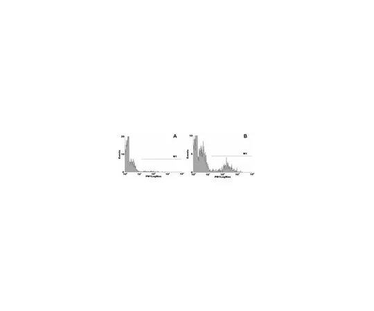 62-8372-57　抗磷脂酰丝氨酸，克隆1H6;200μg　05-719