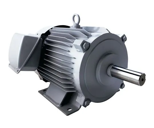 4-416-01　三相电机0.75kW　SF-PR 0.75KW 4P 200V MEATH