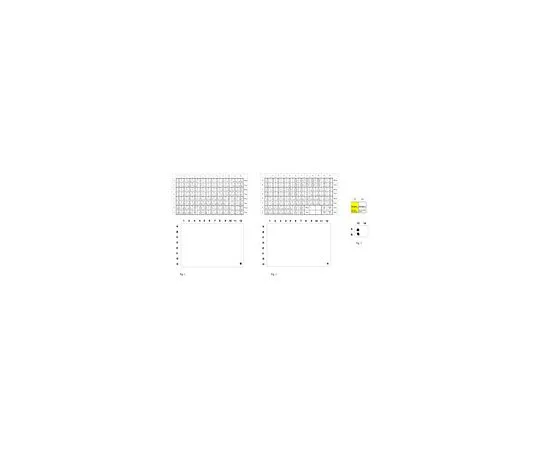 62-8386-51　抗磷组蛋白H2A (Ser129)　07-745-I