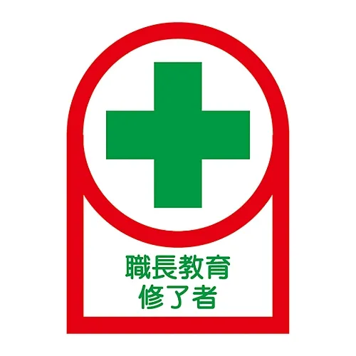 61-3422-52 头盔工学研究生HL-88贴纸 233088