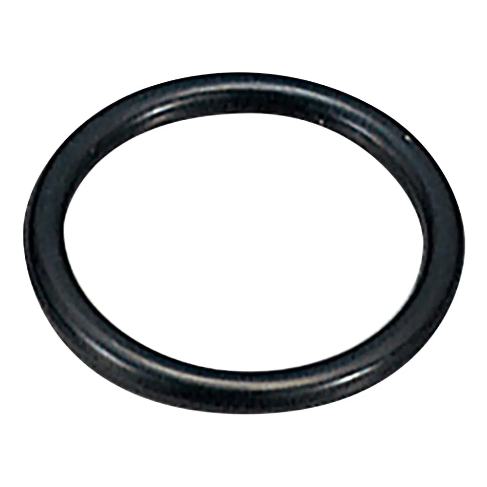 1-8176-01　国王全氟O-Ringφ2.8mm　P-3-300
