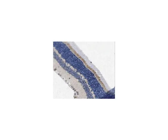 62-8466-18　反PRCD　ABN212