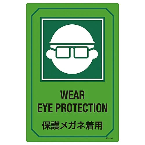 61-3390-12 用英文字母签名佩戴保护眼罩GB-203 95203