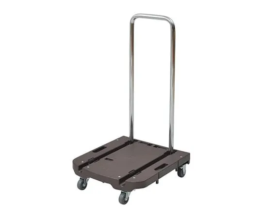 61-9632-55　CARRY,轻盈时尚的深棕色　OTG-E50DB