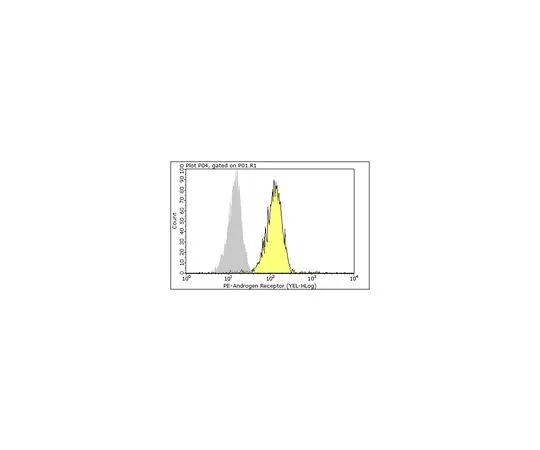 62-8381-88　抗雄激素受体，PG-21;100μL　06-680