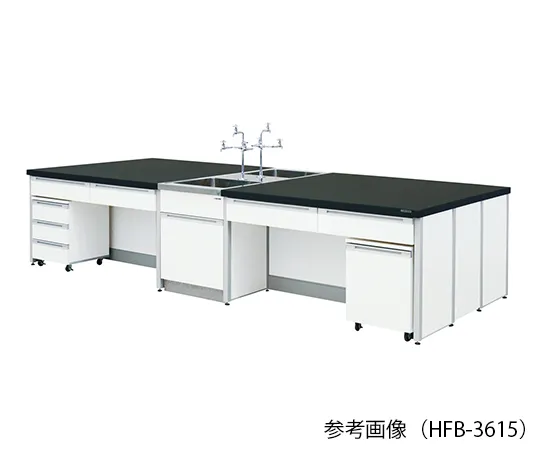 3-7858-01　中央实验室工作台 (框架类型) 2400 x 1200 x 800 mm　HFB-2412
