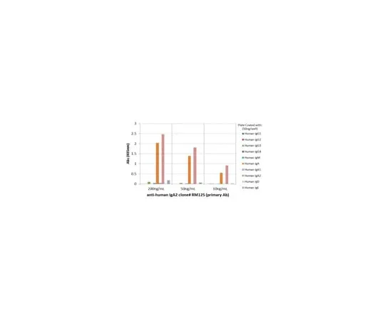 62-8369-79　兔抗人IgA2,克隆RM125抗体　04-1657