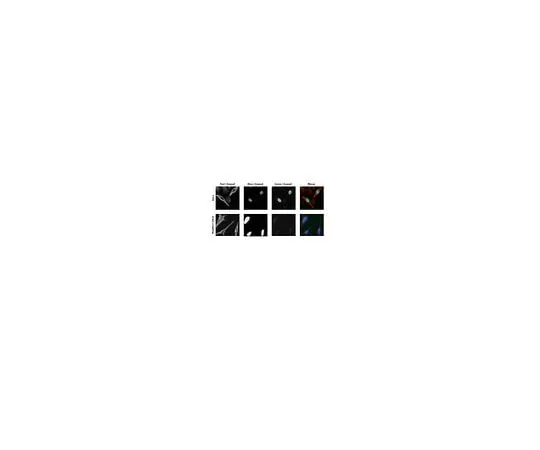 62-8463-60　反MAFA　ABE1404