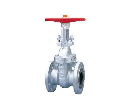 65-1881-18　Ductile Iron Gate Valve ((F) 16 SMBO) Nominal Diameter 65 mm　F16SMBO65A