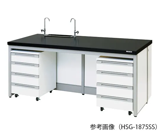 3-9998-11　实验室侧工作台 (带点沉的火焰型) 900×750×800 mm　HSG-975SS