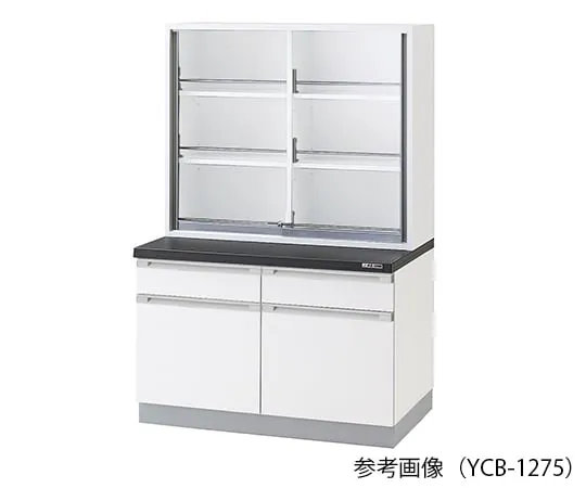 3-5766-11　化学仪器柜900 x 400/750 x 1800公厘　YCB-975