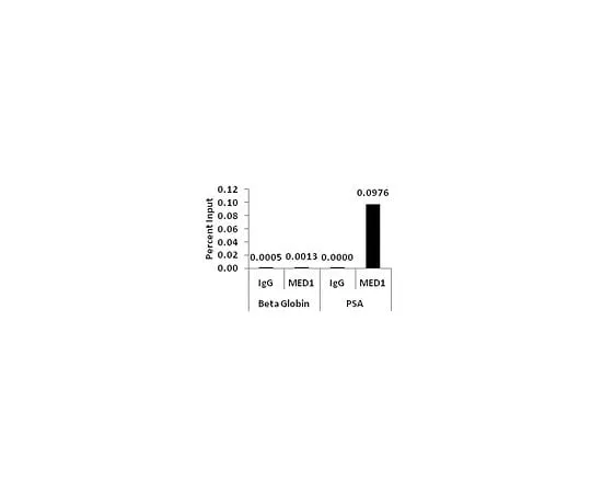62-8395-19　ChIPAb+MED1抗体-ChIP验证抗体和引物组合　17-10530