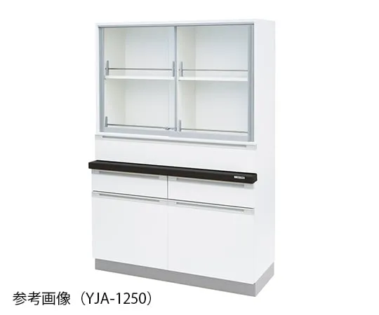 3-3890-11　化学仪器柜1200 x 400/500 x 1800公厘　YJA-1250