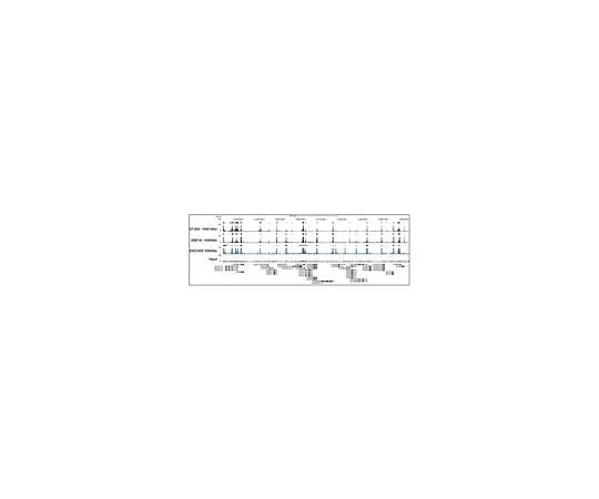 62-8394-21　ChIPAb+ (TM) 乙酰组蛋白H3 (Lys18);25次检测　17-10111