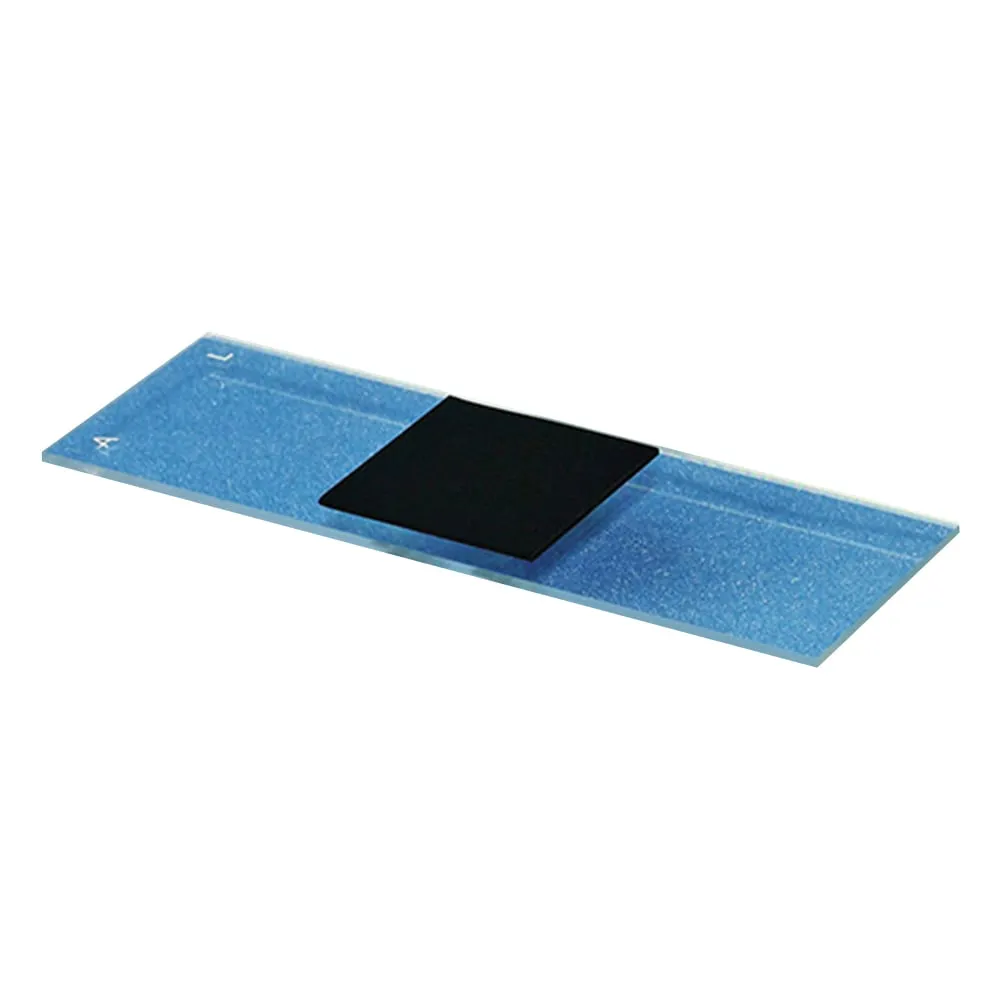 3-7639-01　多层碳纳米管阵列长度0.5±0.1mm　A01-01