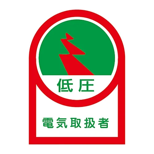 61-3422-37 头盔低压电工专用贴纸HL-59 233059