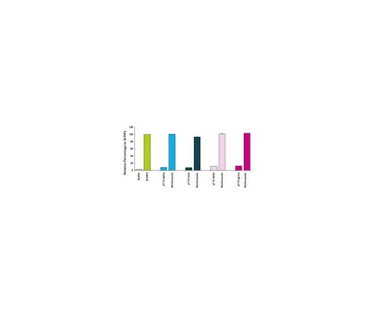 62-8393-40　PI3激酶活性/抑制剂ELISA;1个套件　17-493