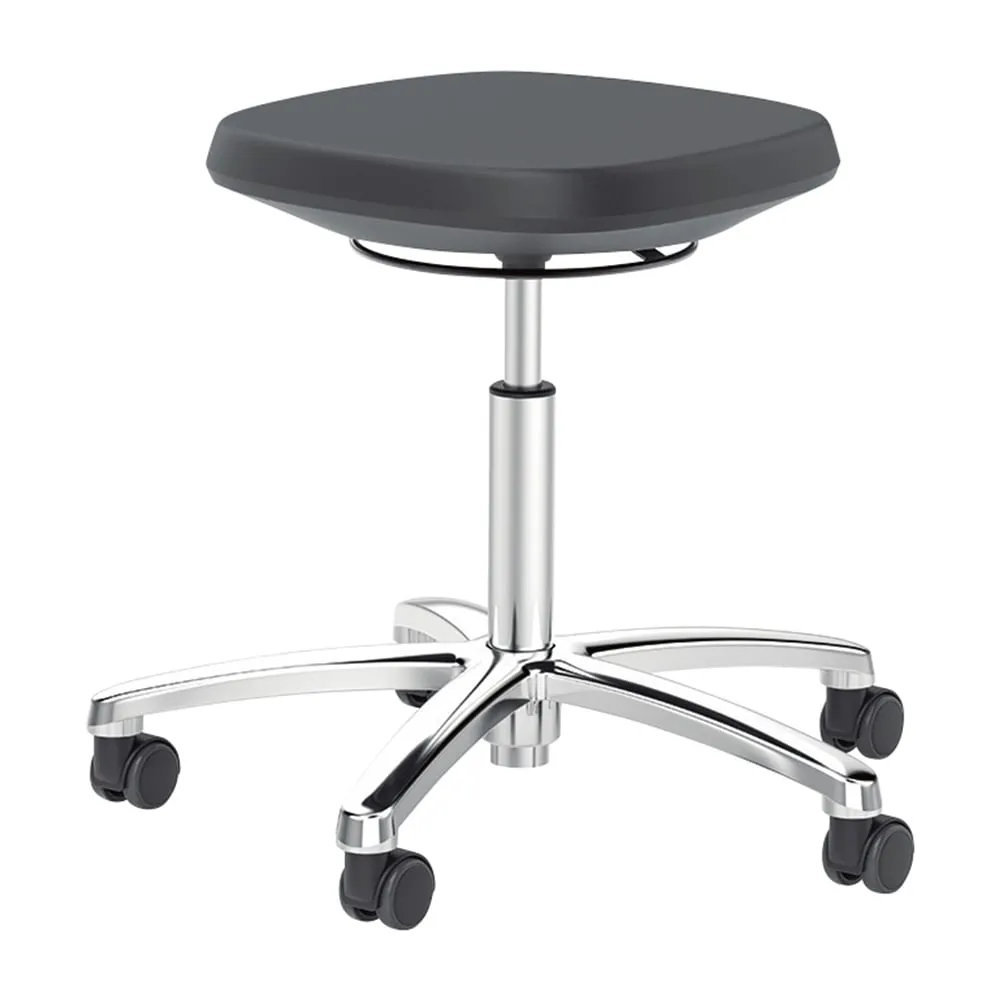 4-4195-01　Lab Stool (LABSIT)　6287747