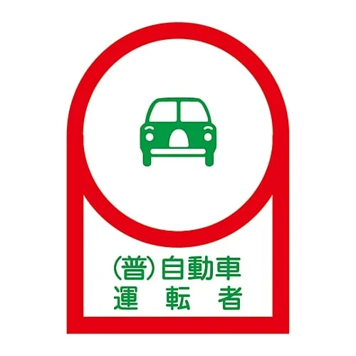 61-3422-20 头盔普通汽车驾驶员用贴纸HL-38 233038