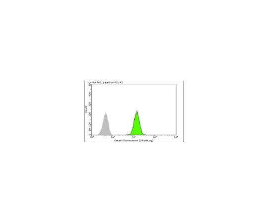 62-8375-23　抗SMN,克隆2B1;100μg　05-1532