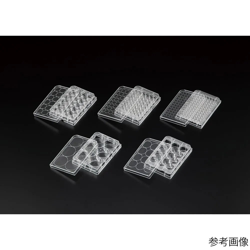 4-5778-01　Violamo Cell Culture Plate α 6 Well 1 Box (50 Packs)　VTCa-P6