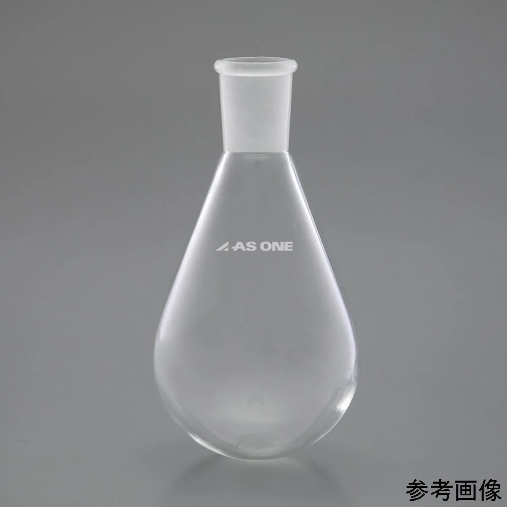4-6496-01　Eggplant Flask 50 mL 29/42