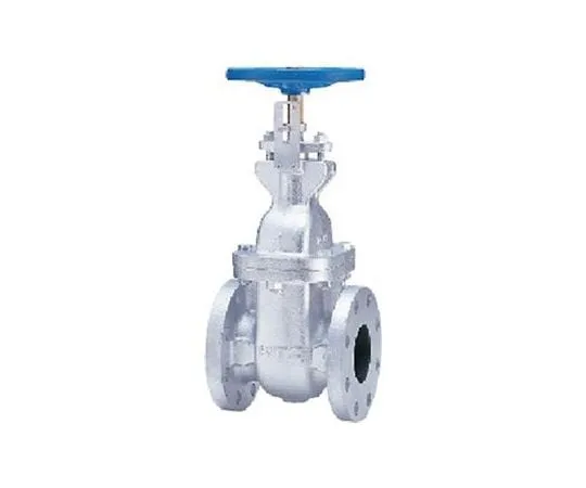 65-1886-19　Cast Iron JIS Standards gate valve with opening indicator (10 FCWI) Nominal Diameter 50 mm　10FCWI50A