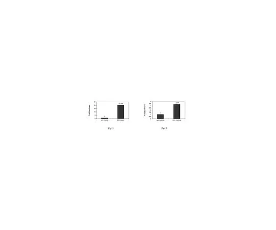 62-8389-90　抗EED;100μg　09-774