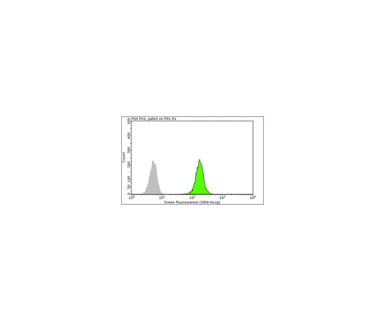 62-8375-08　抗Y14,克隆4C4;100μg　05-1511