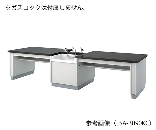 3-7661-01　学生实验台3000 x 900 x 700 mm　ESA-3090KCL