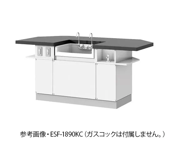 4-1151-01　学生实验台 (面对面)　ESF-1890KCL