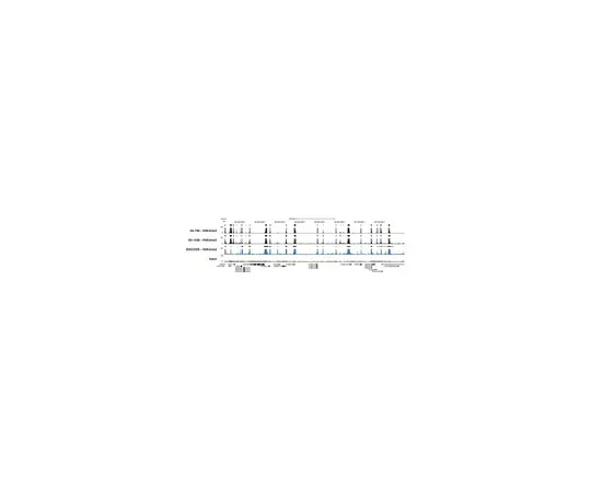 62-8368-57　抗二甲基-组蛋白H3 (Lys4) ，克隆AW30;100μL　04-790