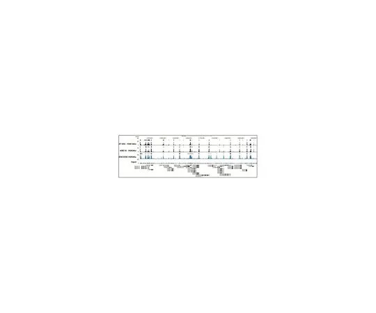 62-8384-56　抗乙酰组蛋白H3 (Lys18);100μL　07-354