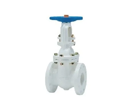 65-1887-24　Cast Iron nylon 11 Lining JIS Standards Gate Valve (5 FCMN) Nominal Diameter 65 mm　5FCMN65A