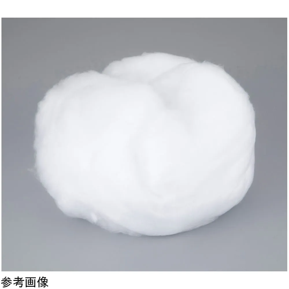 4-4949-01　Quartz Wool 1 ~ 3 micro m 10 g　QW-1-3