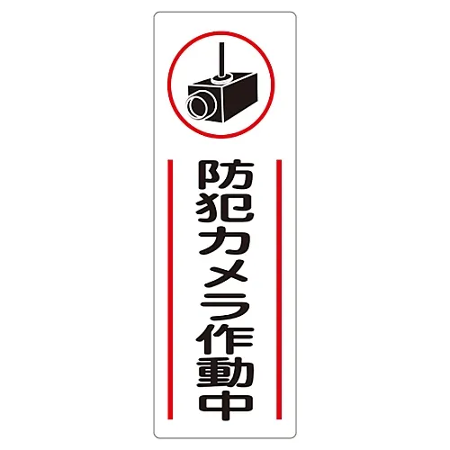 61-3389-91 Rectangular General Sign Security Camera OperatingGR265 93265