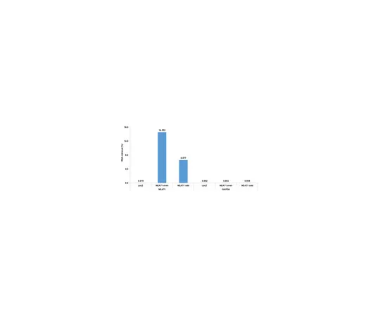 62-8367-77　Magna ChIRP (TM) NEAT1lncRNA探针集　03-308