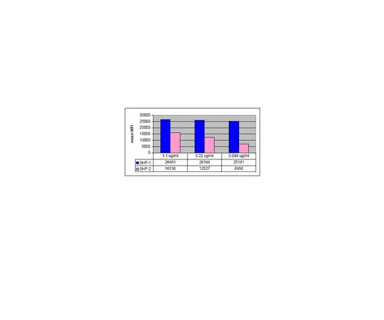 62-8368-45　抗SHP-1/2,克隆NL213;100μL　04-742