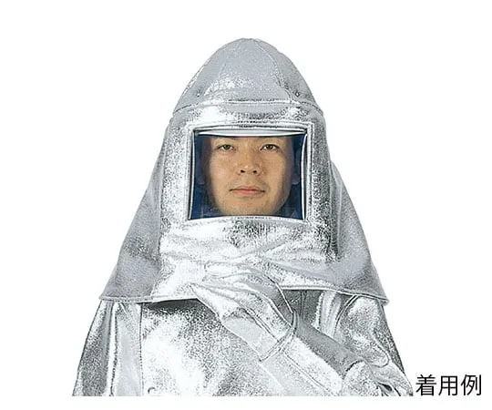 62-6281-61　Carmaron Aluminum Deposition Protective Hood　RHC-20