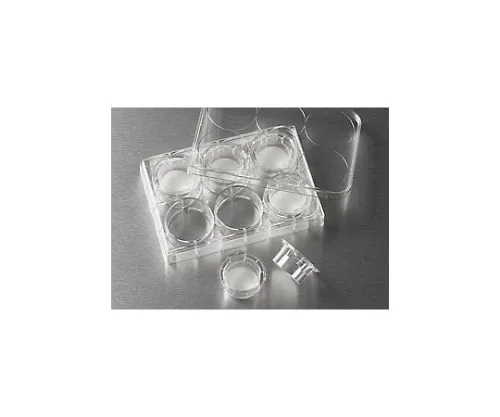 61-4688-25　Transwell 6 Wells 0.4μm,细胞培养表面处理处理　3412