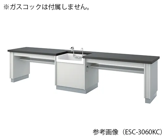 3-7665-01　学生实验台3000 x 600 x 700 mm　ESC-3060KCL
