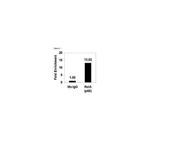 62-8394-06　ChIPAb+NFκBp65 (RelA);25次检测　17-10060