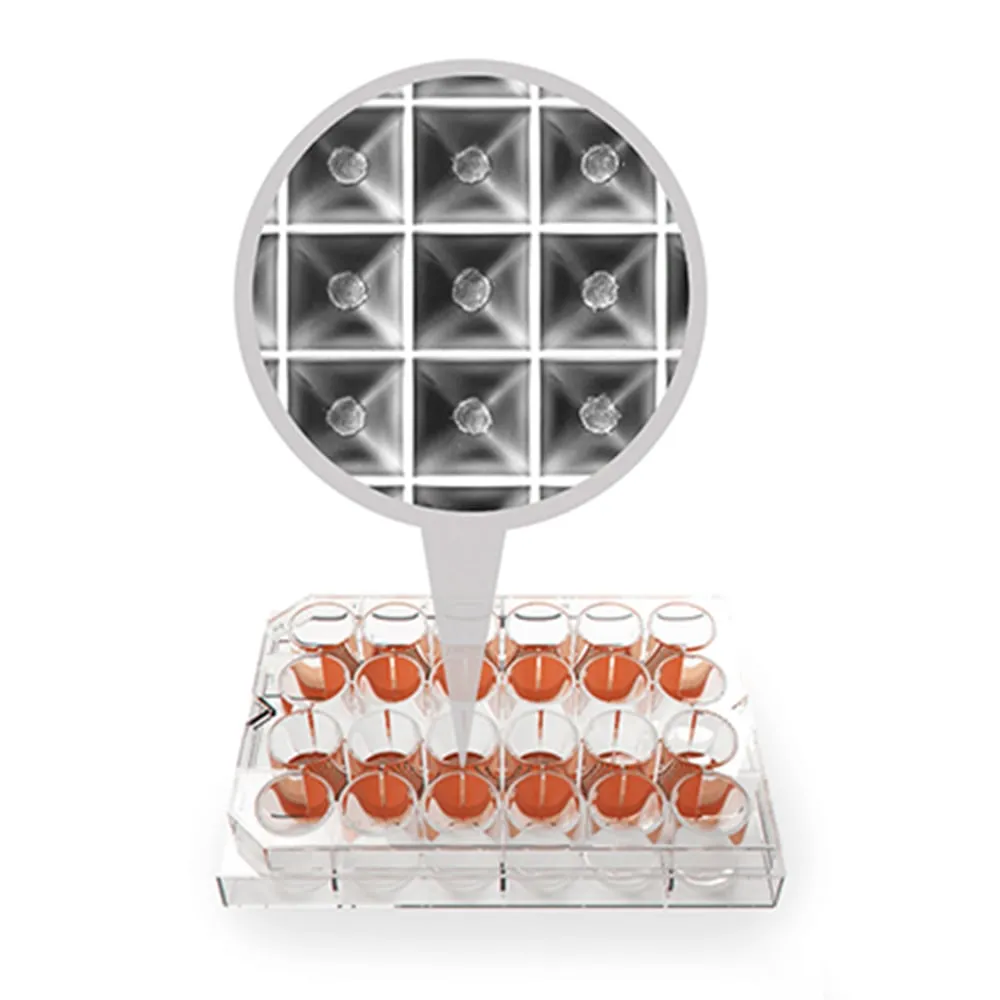 4-1318-01　球形生产培养板　SPHERICAL PLATE 5D