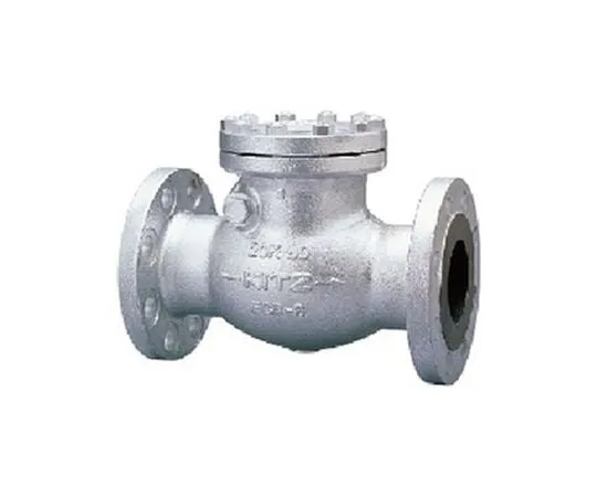 65-1881-77　Ductile Iron Swing Chucking Valve (20 SOB) Nominal Diameter 50 mm　20SOB50A