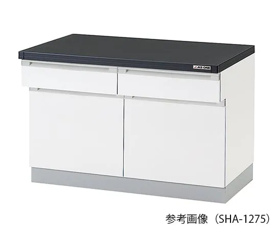 3-5693-21　侧面实验室工作台 (木制) 450 x 750 x 800 mm　SHA-475