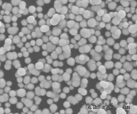 3-3051-06　银 (Ag) 粉末 (Silvest Reduction Silver Dust) 0.5μm1G　AGS-050