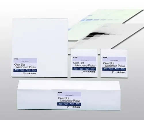 61-3733-53　用于Block Clear Blot P+Filter的PVDF滤镜　2322450/WSE-4050