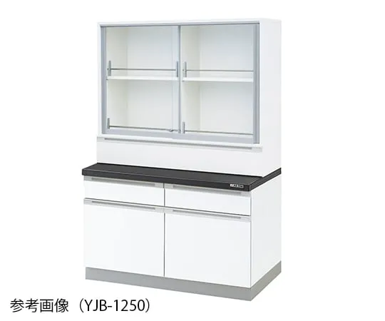 3-3891-11　化学仪器柜1200 x 400/750 x 1800公厘　YJB-1275