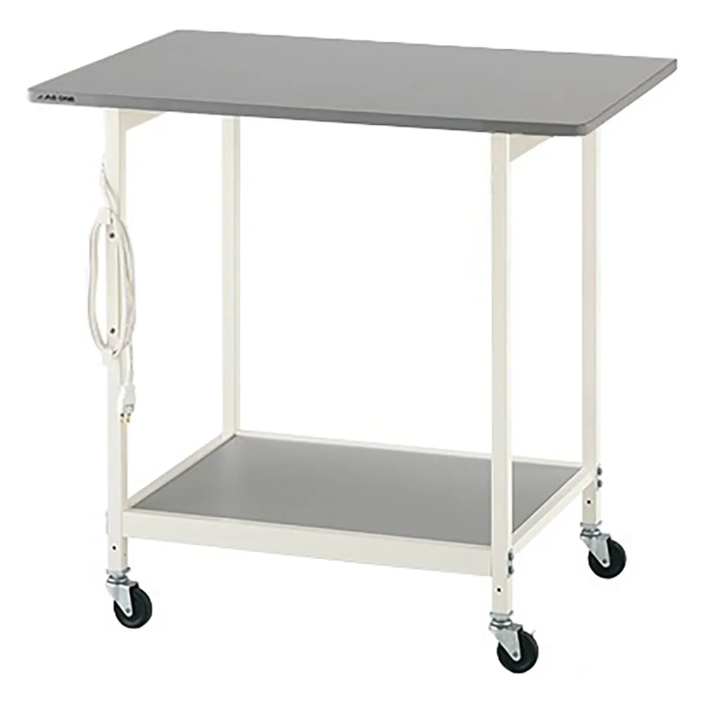 3-6666-01　全新Lab Bench (白色) 标准900 x 600 x 800　A-W