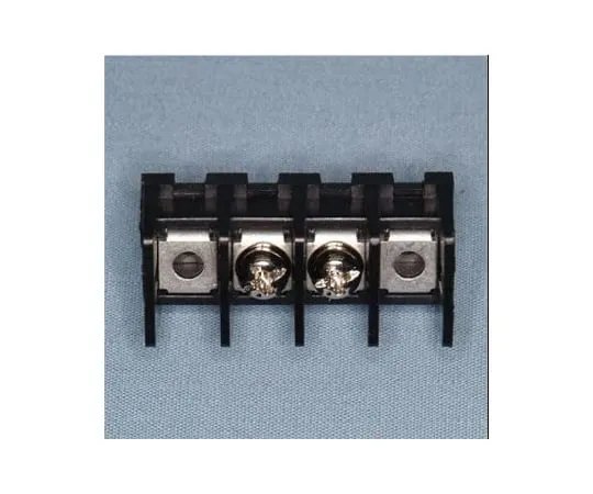 63-3169-04　Through type Terminal Block for soldering insertion double     250 V -10 A semis Screws 2 poles　ML-40-S1AXS-2P